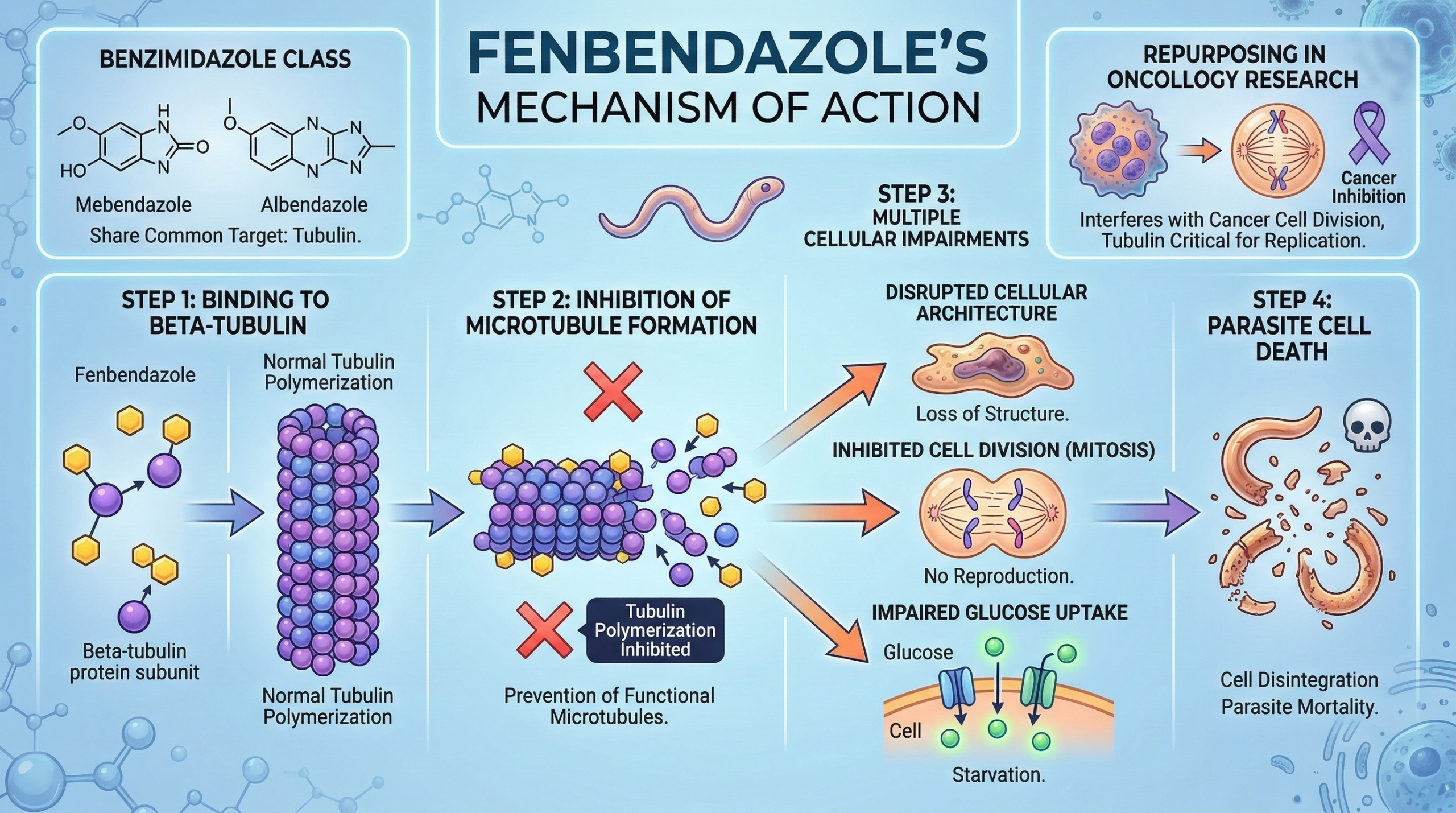 Fenbendazole's Mechanism